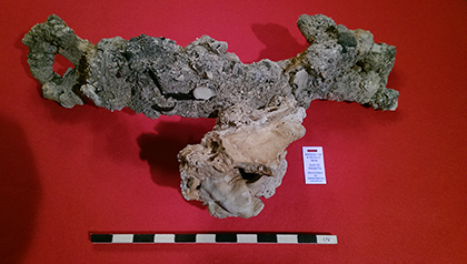 Enter your image caption here