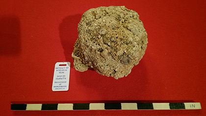 Enter your image caption here