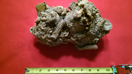 Enter your image caption here