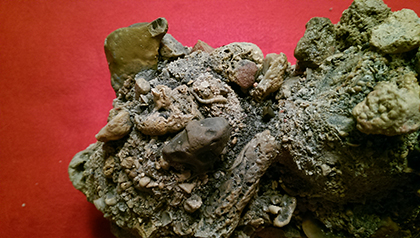 Enter your image caption here