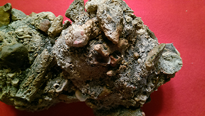 Enter your image caption here