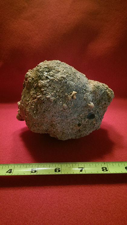 Enter your image caption here