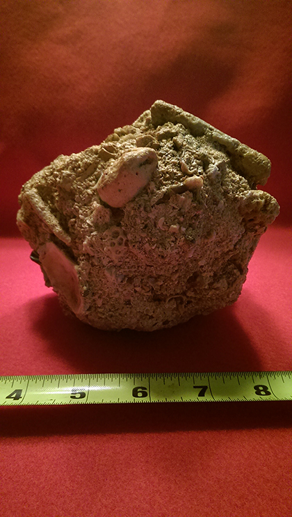 Enter your image caption here