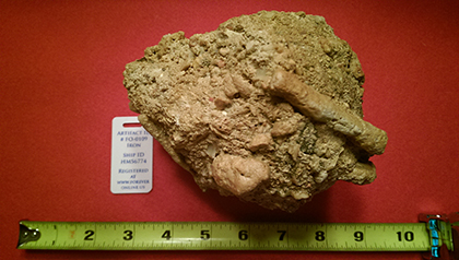 Enter your image caption here