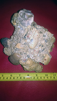 Enter your image caption here