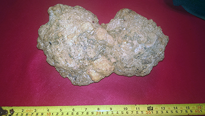 Enter your image caption here