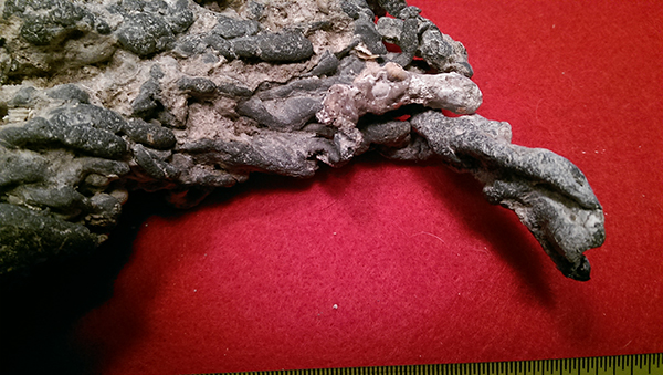 Enter your image caption here