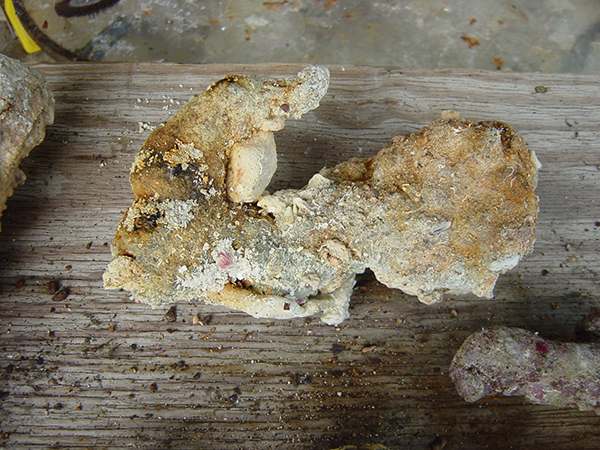 Enter your image caption here