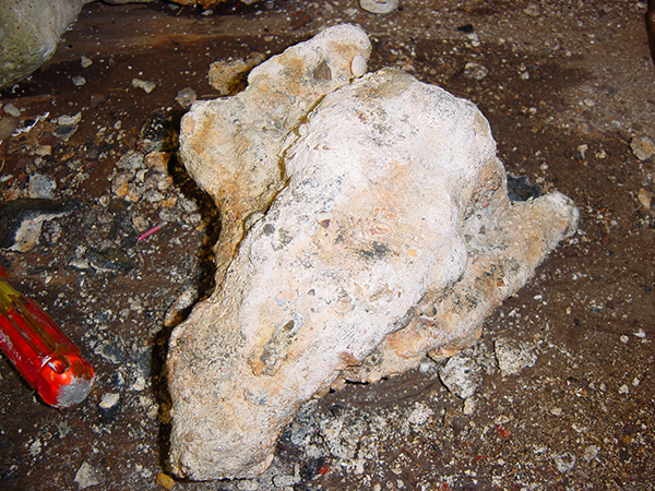 Enter your image caption here