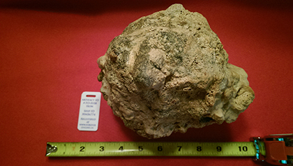 Enter your image caption here